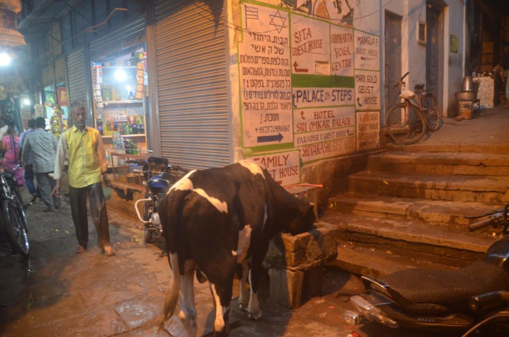 インドの街並みと牛